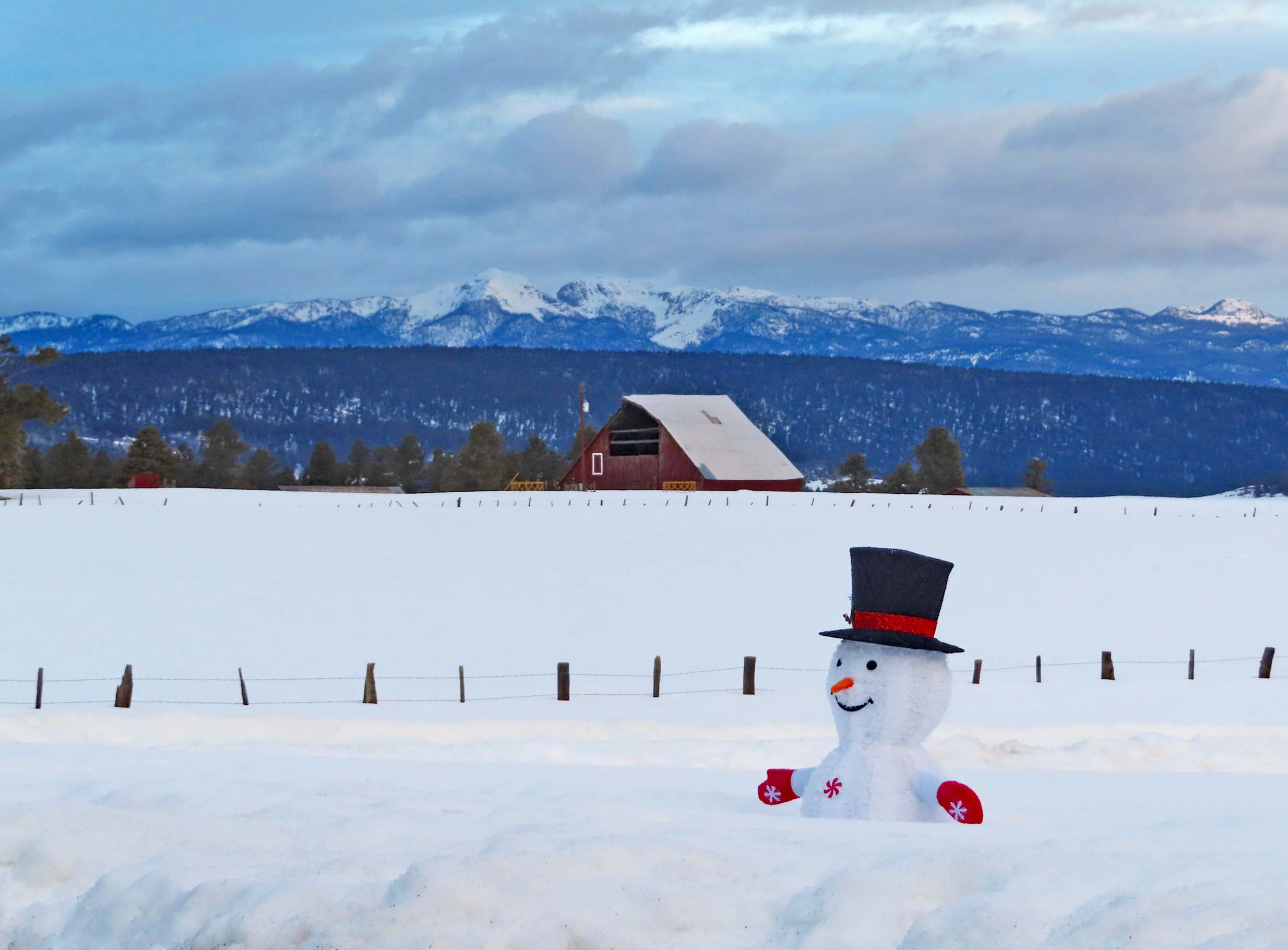 Frosty is looking for more snow – Pic taken 26 Feb 2024