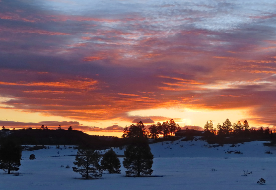 Another colorful Colorado sunrise – pic taken 3/30/2024