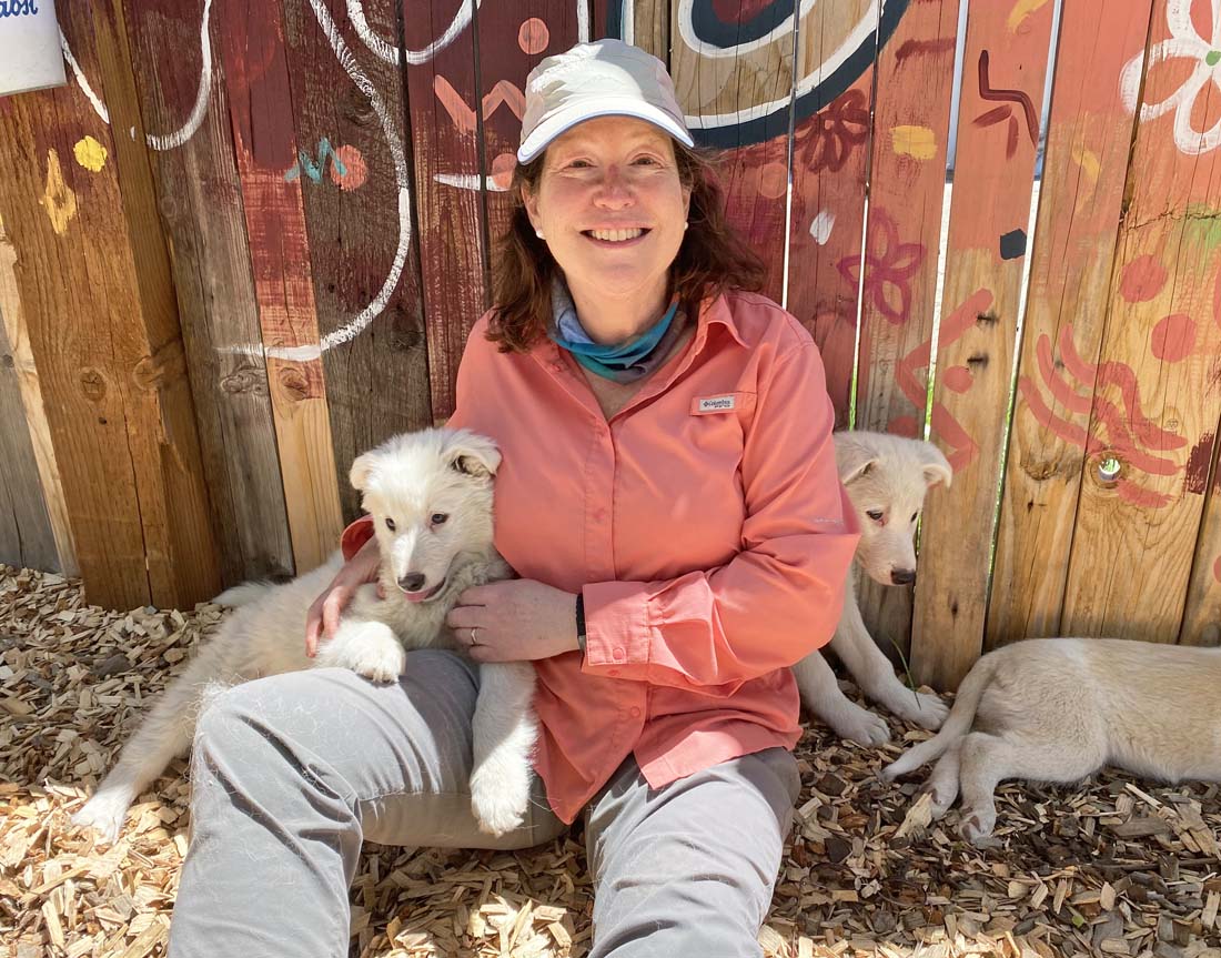 It was fun hanging out with the San Juan Sled Dog pups yesterday! – Pic taken 5/19/2024
