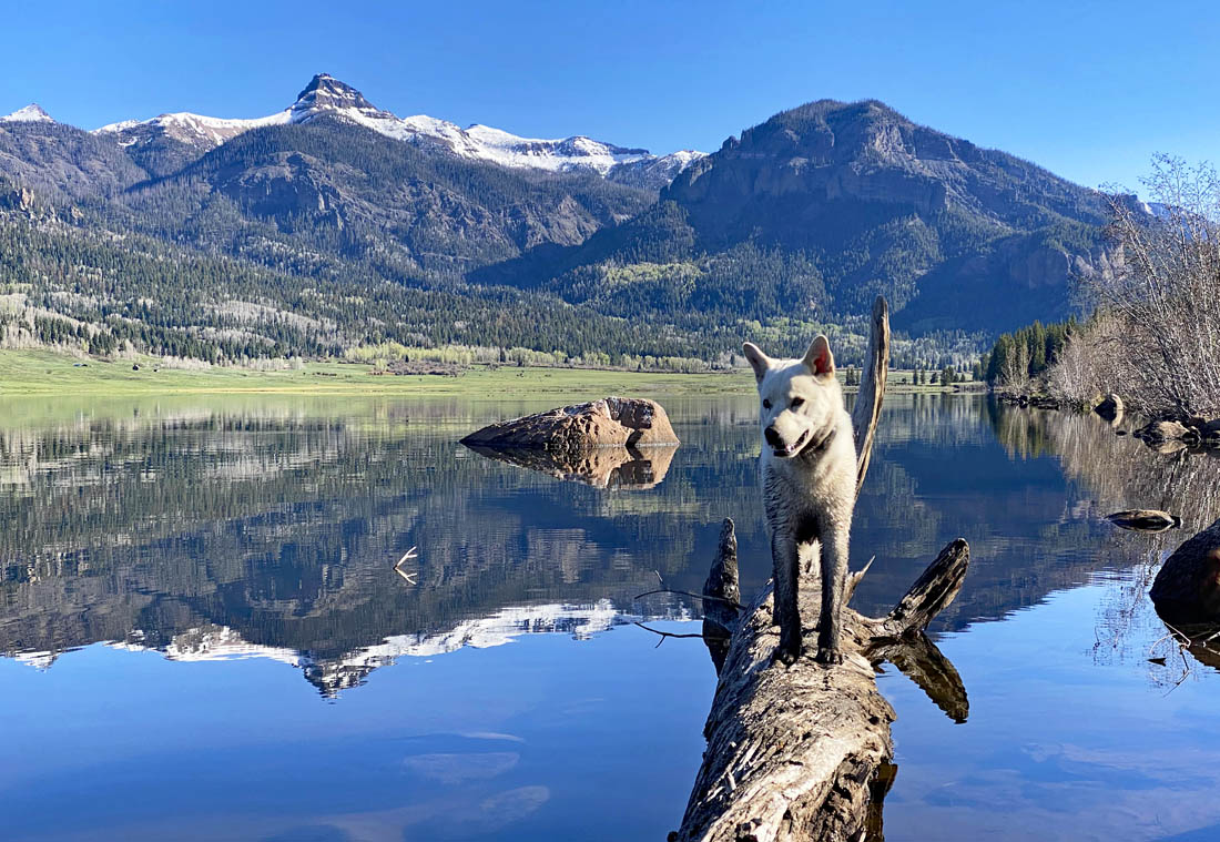 Happy pup at the lake on a beautiful morning – Pic taken 5/22/2024