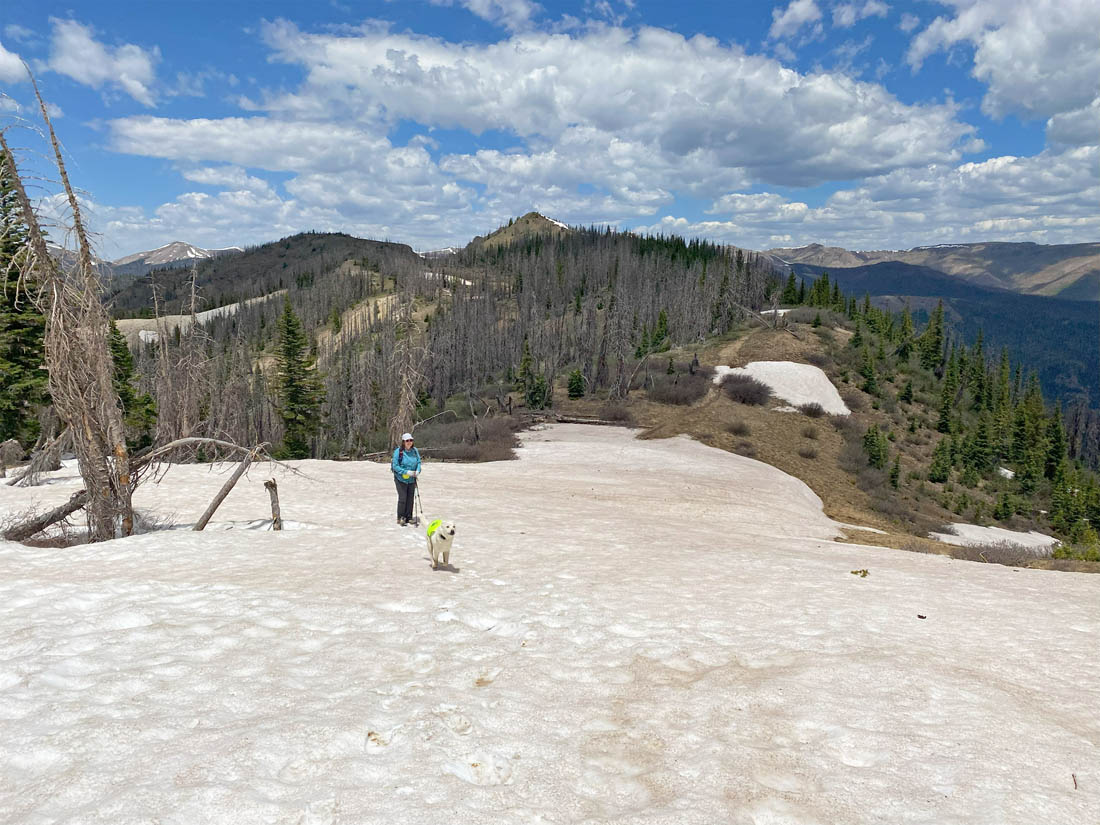 Still quite a bit of snow on the Continental Divide Trail near Lobo Overlook – pic taken 6/12/2024