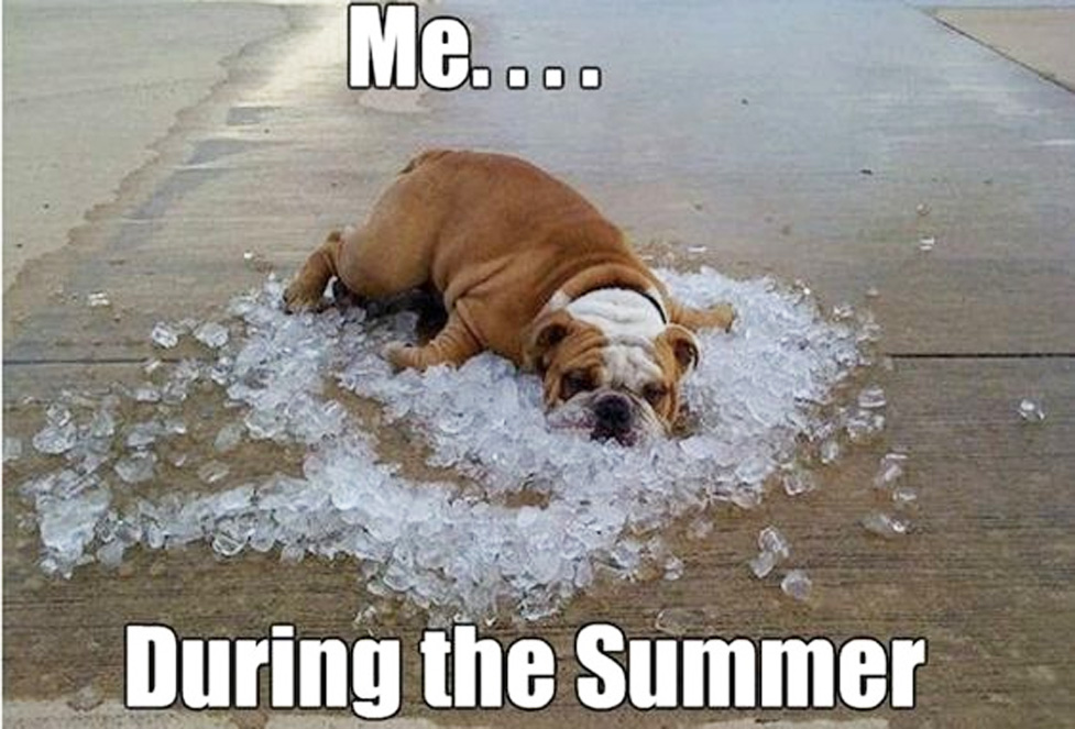 It’s too warm for me!