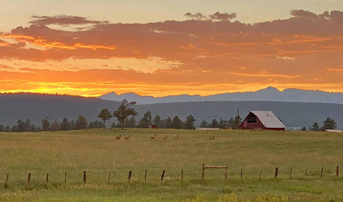 A classic Pagosa Country sunset.  There aren’t too many places as pretty! – pic taken 7/11/2024