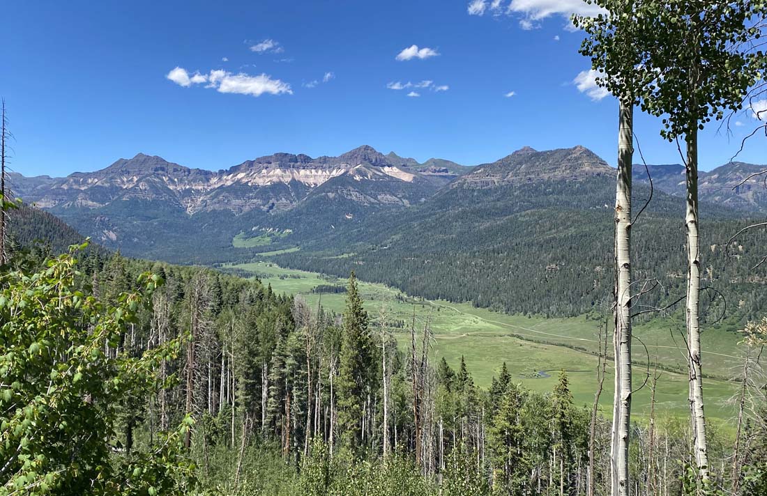 It sure is green around here! – pic taken 7/6/2024