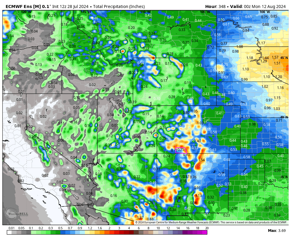 Where are My Cooling Afternoon Showers? 7 Euro E Precip 28 Jul 24