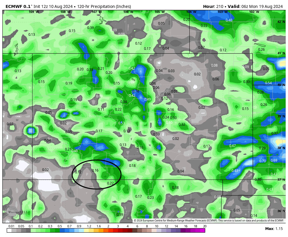 Impressive rain totals!… 8 Euro precip for this period expects 0.16”. That’s not much for a 5-day period during our wettest month. Some folks will hardly get anything while a few lucky folks will get double this amount.
