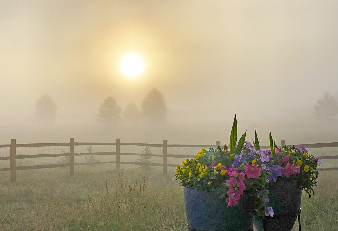 Morning fog after our last rain - pic taken 8/14/2024