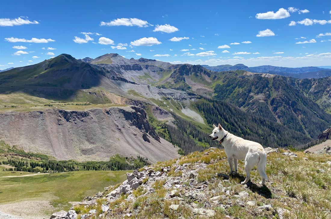 Tommy enjoyed a fantastic view and great weather high in the mountains on Thursday - pic taken 8/15/2024