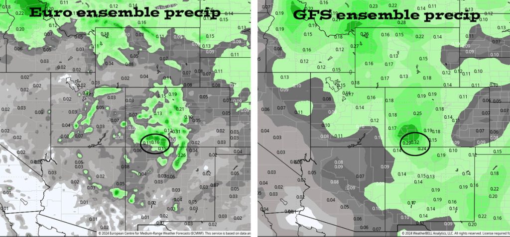 A spotty shower today and tomorrow, otherwise a lot of sun… 4 Euro ensemble precip to 14 Oct at 6am on the left expects 0.16” and GFS ensemble precip on the right expects 0.32”. I think it’s going to be pretty dry for the next two weeks.