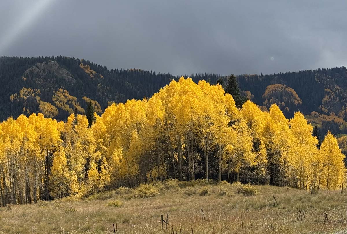 Fall colors are peaking in places! – pic taken by Arleen on 9/30/2024