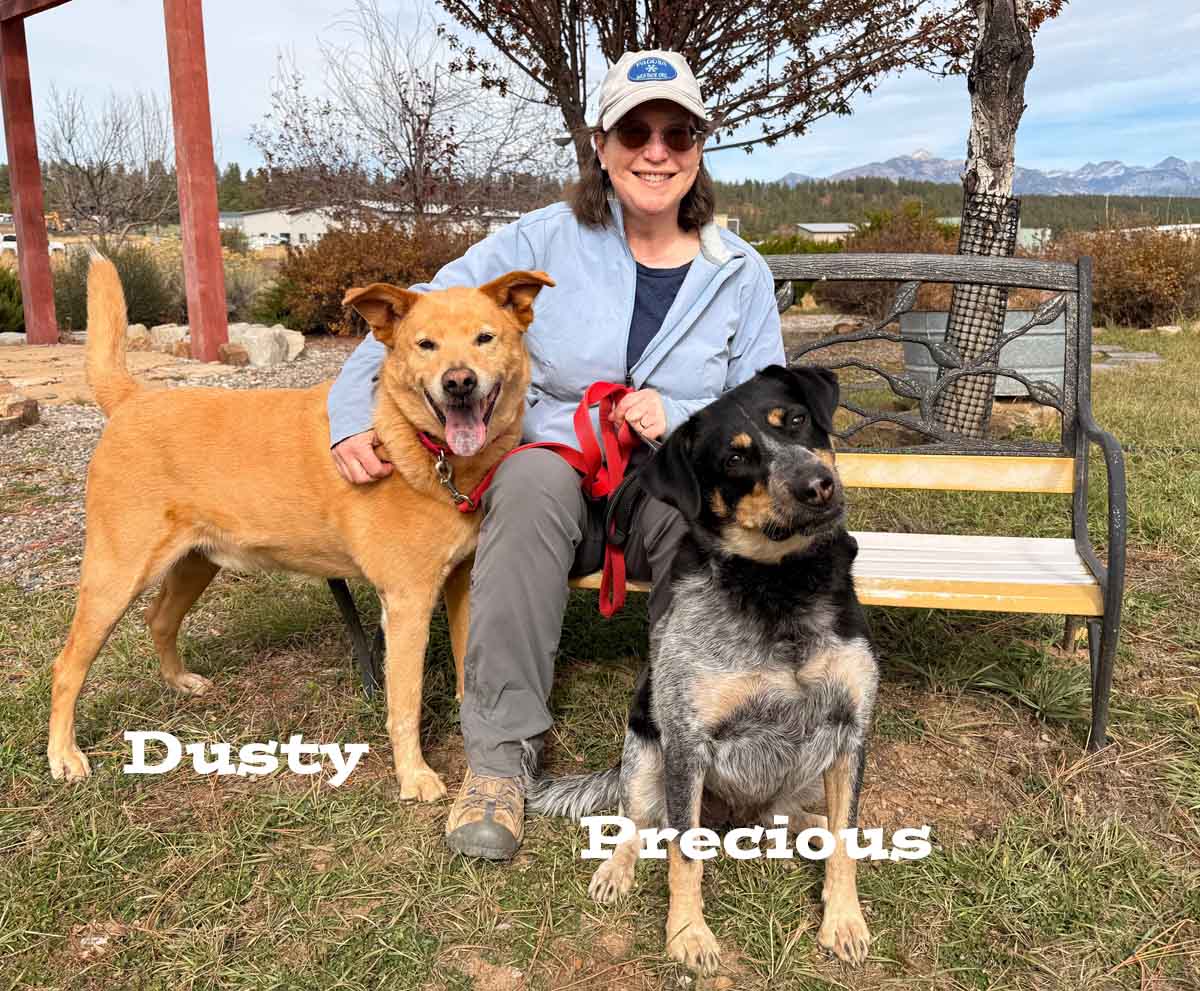 Meet Dusty and Precious! Sadly, their people had to go into assisted living and now these two loveable pups are looking for a new home. Please contact the Humane Society of Pagosa Springs to learn more about them. – Pic taken 10/27/2024