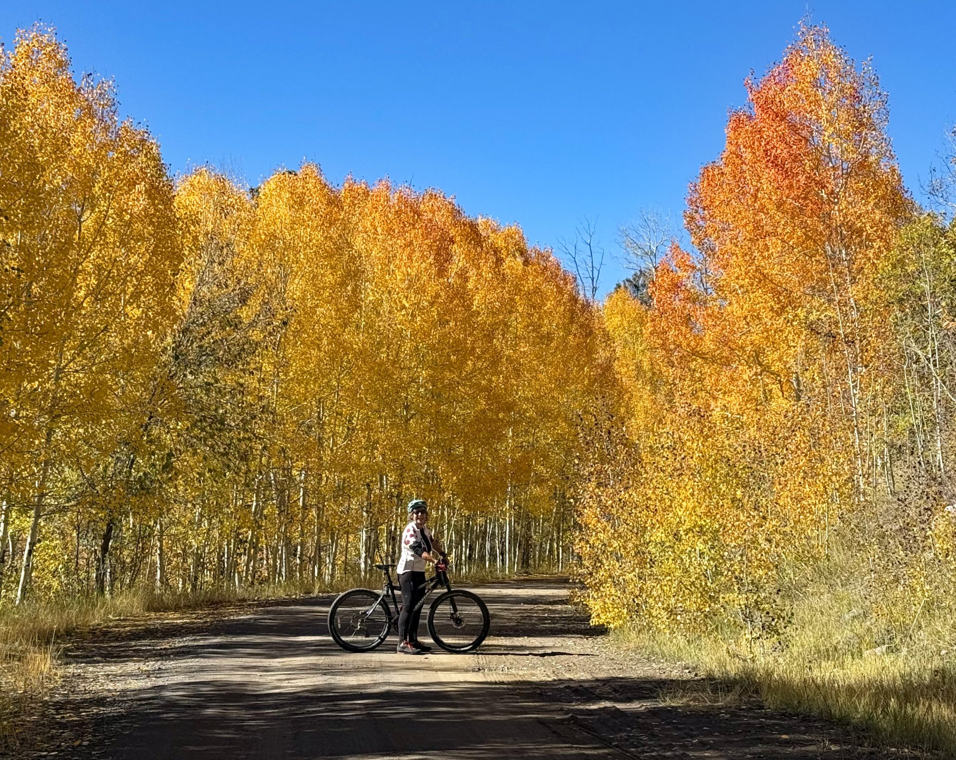 Girl on bike - fall colors