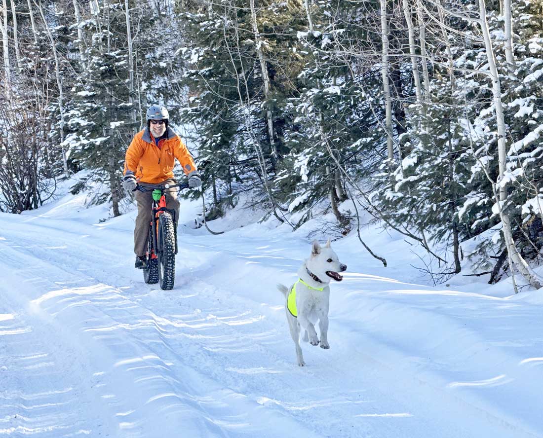Biking with a happy pup – pic taken by Felipe on 12/30/2024