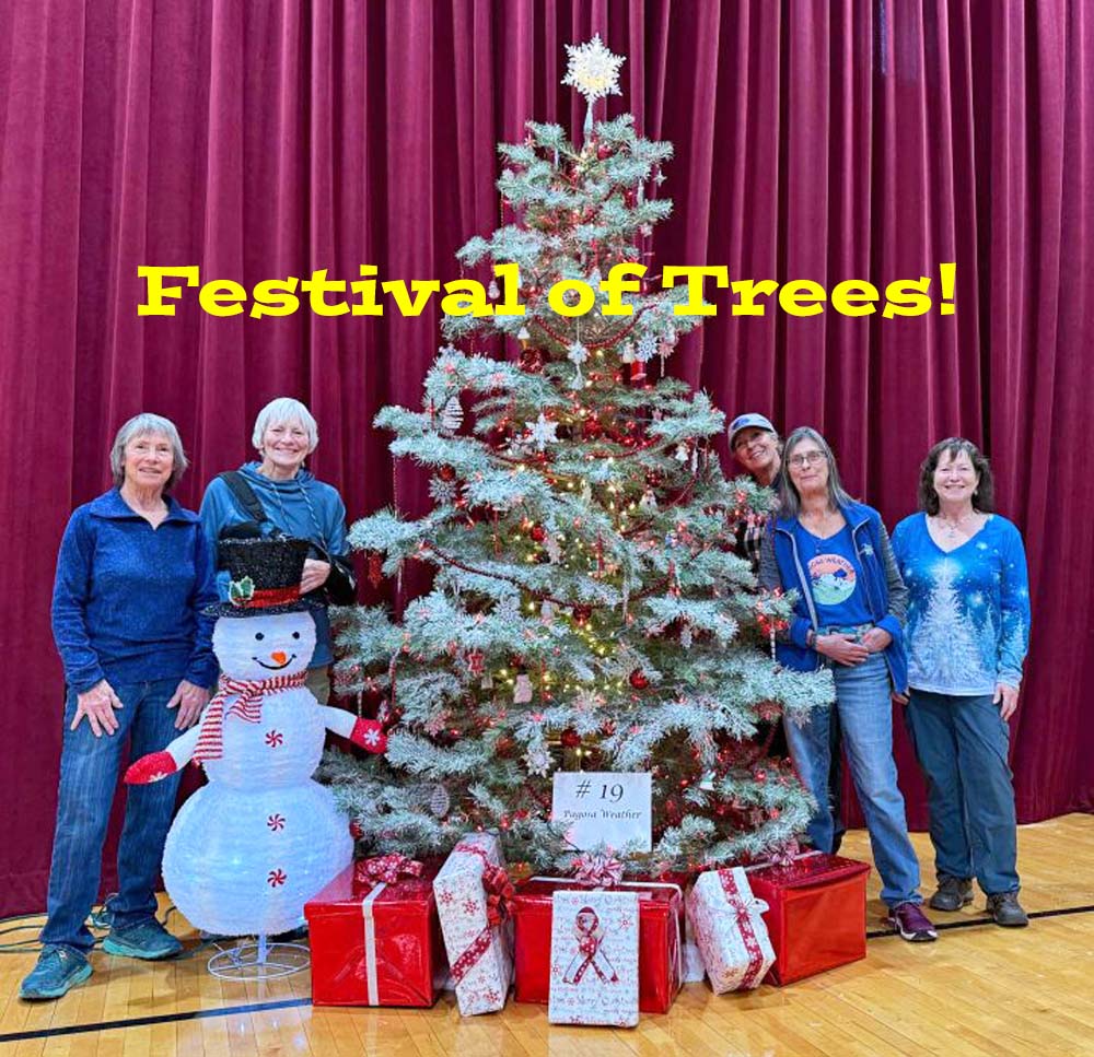 FESTIVAL OF TREES - Vote for the Pagosa Weather Tree!!!