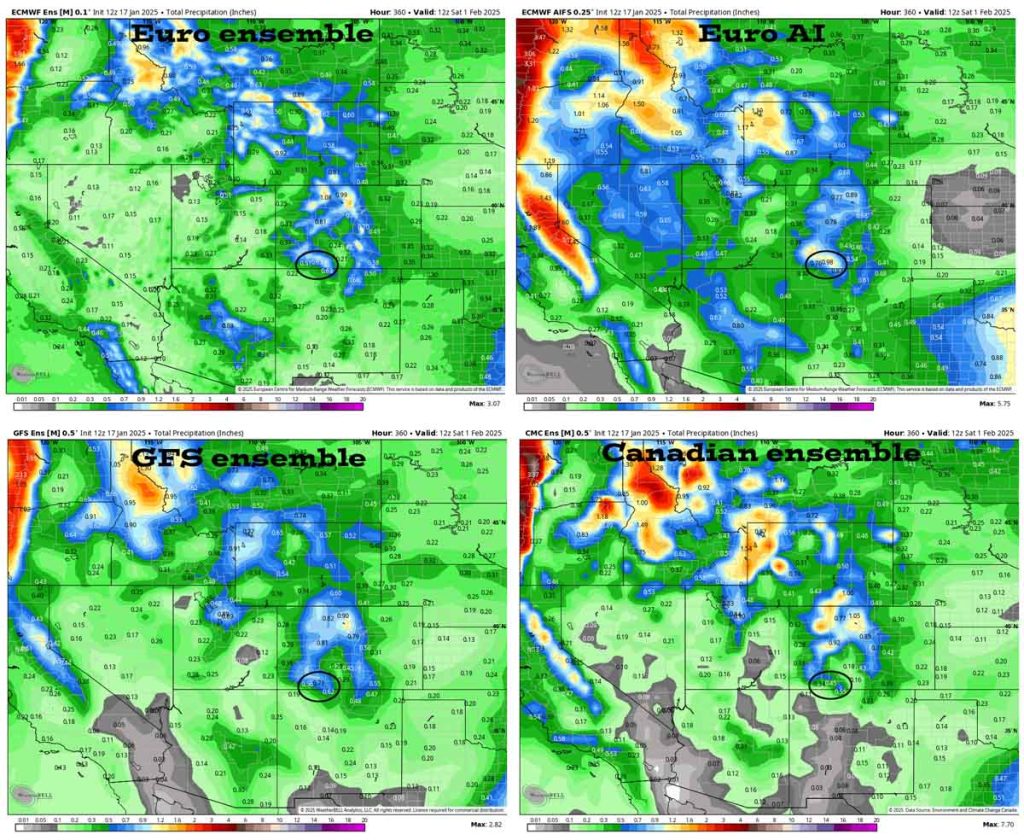 Chilly but dry for Winter Fest weekend… 3 These are ensemble precip forecast products to 5am on 1 Feb. In the upper left the Euro ensemble shows 0.63”. In the upper right the Euro AI shows 0.98”. In the bottom left the GFS ensemble shows 0.71”. In the bottom right the Canadian ensemble shows 0.45”.