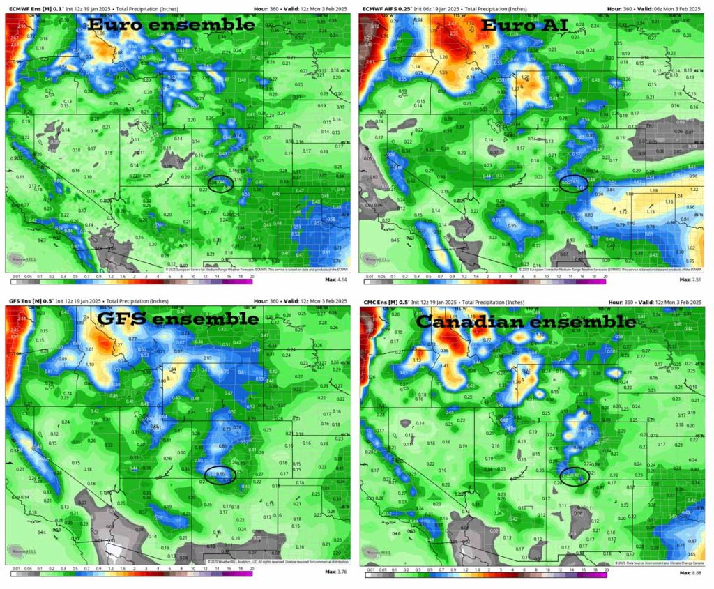 These are ensemble precip forecast products to 5am on 3 Feb. In the upper left the Euro ensemble shows 0.44”. In the upper right the Euro AI shows 0.61”. In the bottom left the GFS ensemble shows 0.86”. In the bottom right the Canadian ensemble shows 0.46”.