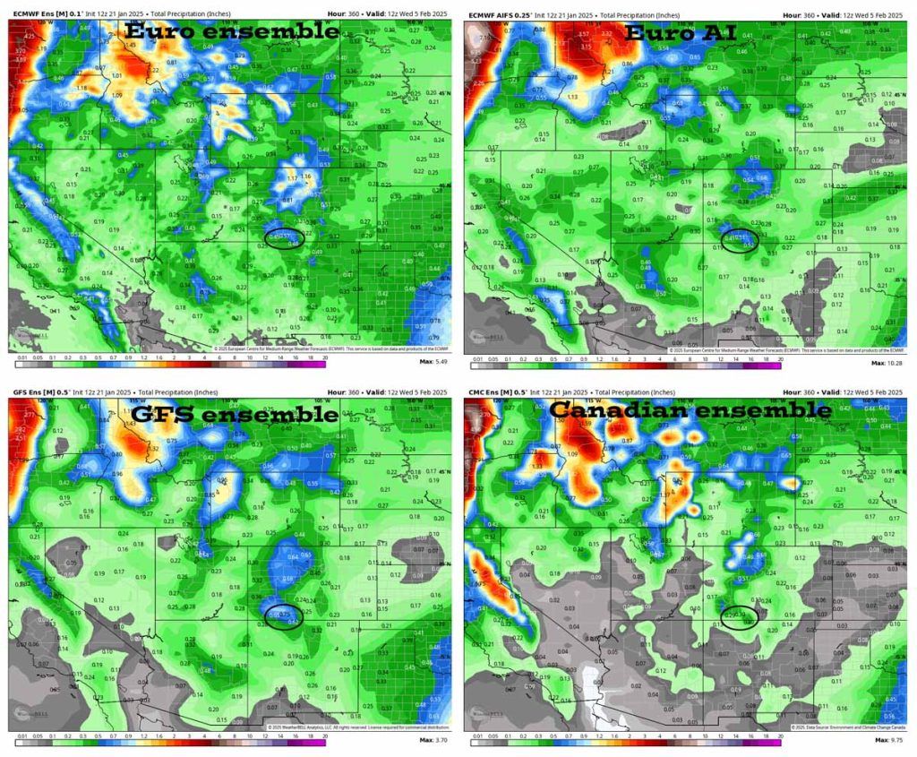 These are ensemble precip forecast products to 5am on 5 Feb. In the upper left the Euro ensemble shows 0.57”. In the upper right the Euro AI shows 0.51”. In the bottom left the GFS ensemble shows 0.75”. In the bottom right the Canadian ensemble shows 0.30”.