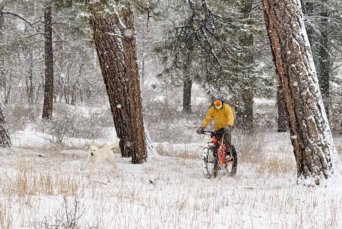 See the happy pup? – Pic taken by Felipe on 1/29/2025