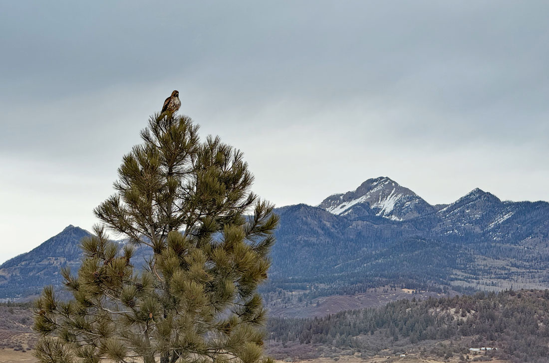 Lots of clouds but no snow yet – pic taken 10 Feb 2024