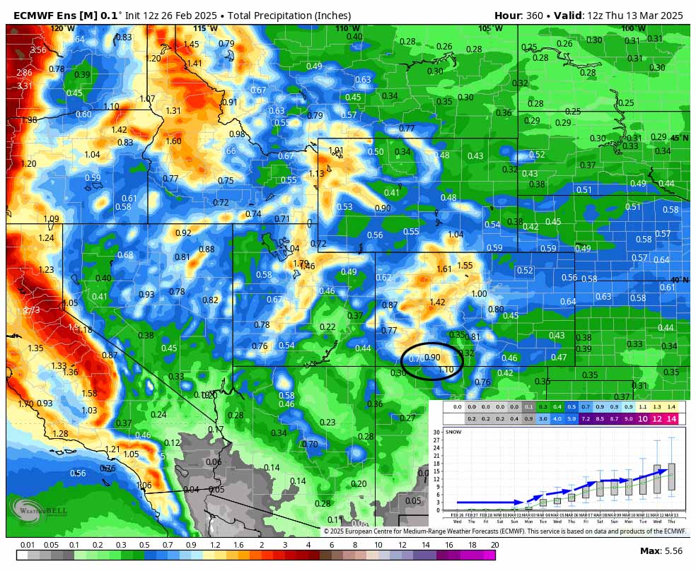 A steady train of weak systems next week… 3 Euro ensemble precip to 6am on 13 March shows 0.90” in the Pagosa area. The inset shows total snow possible for Wolf Creek. It’s read left to right and times are in Zulu. There’s isn’t much going on until 3 Mar. By 13 Mar, 14” of snow is possible for Wolf Creek.