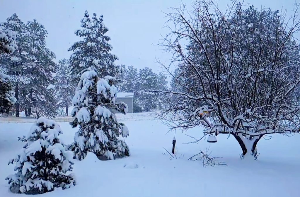 Snow