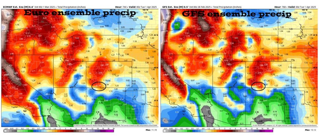 Pagosa Weather FEBRUARY SUMMARY & March Outlook 11 Euro ensemble precip on the left expects 2.06″ of precip for March and the GFS ensemble precip on the right expects 2.39″ – Both models expect more than the average of 1.77″.