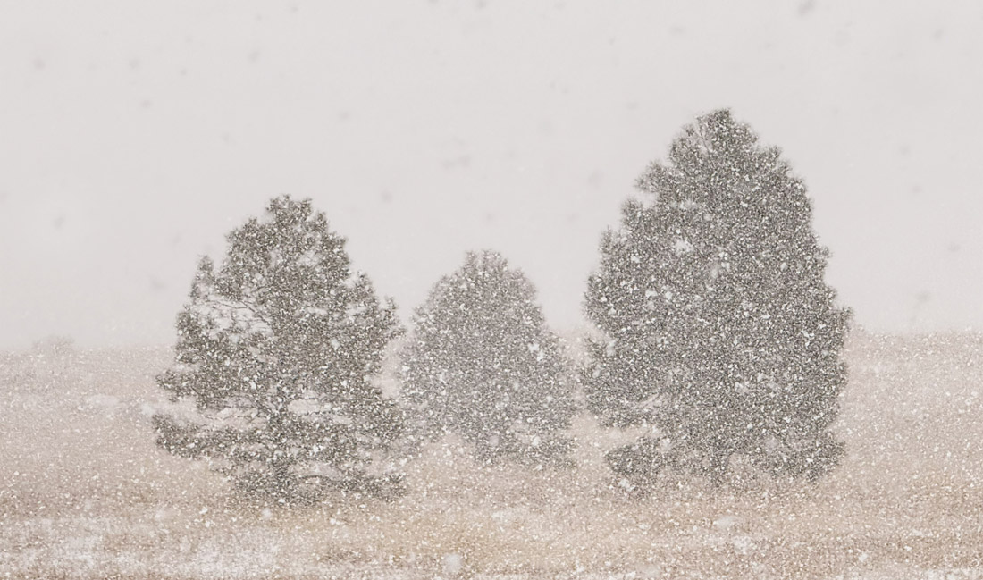 It snowed heavily for brief periods yesterday. – pic taken 3/3/2025