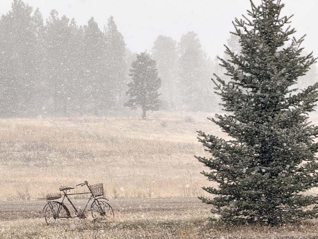 Roads could get slick tonight… 1 Big, fat snowflakes from one of the fast-moving snowshowers on Tuesday.