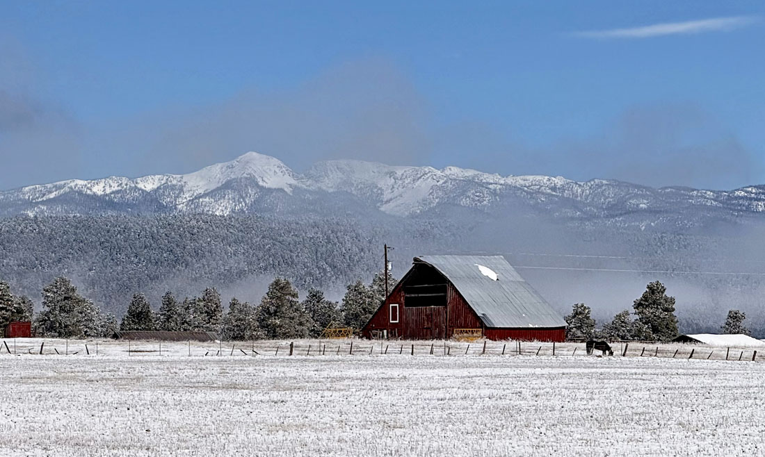A beautiful winter-like scene on Sunday. Just two days later, there is no hint of snow in that field. – pic taken 4/20/2025