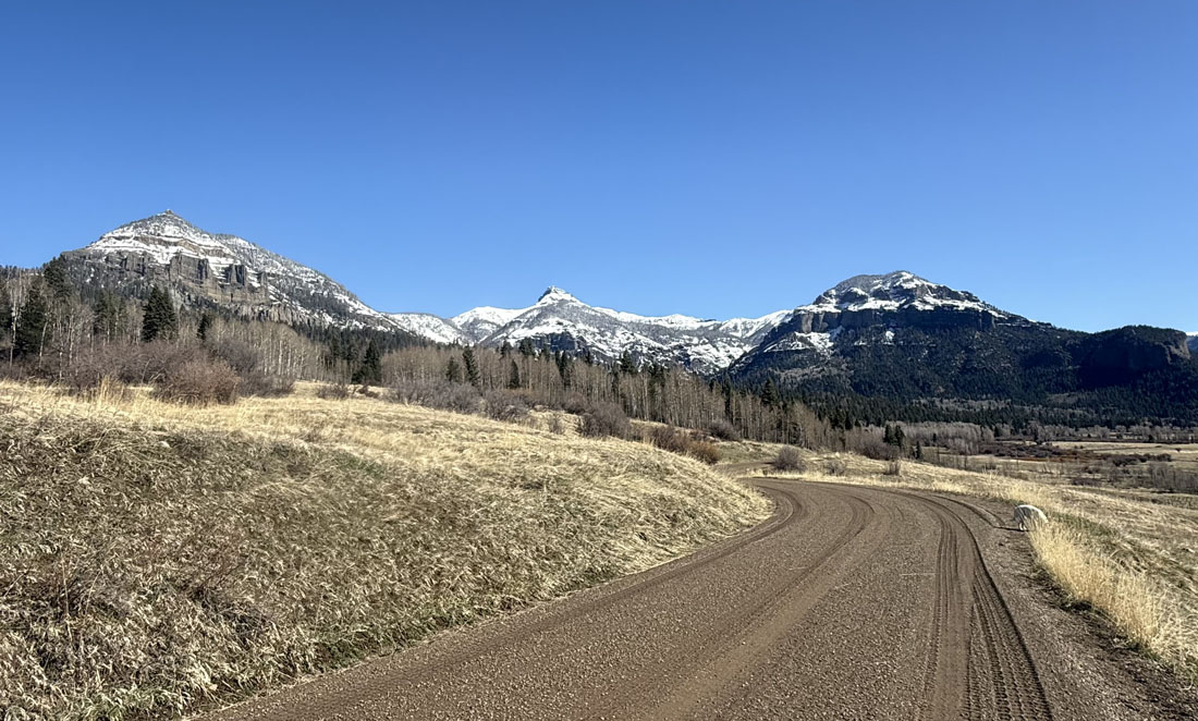 Some of our roads are still closed and are very enjoyable to walk this time of year.  – pic taken by Arleen on 4/21/2025