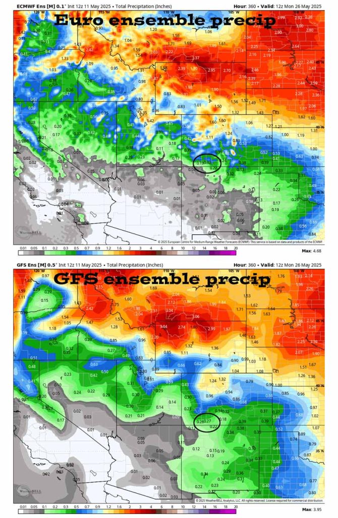 The Euro ensemble precip to 26 May at 6am on the top shows 0.32” for Pagosa and the GFS ensemble on the bottom shows 0.27”.