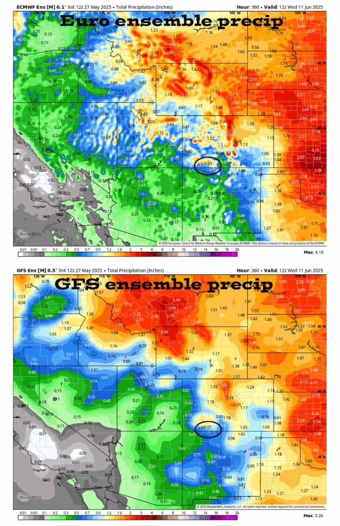Decent soaking possible Sunday afternoon into Monday evening… 5 The Euro ensemble precip to 11 Jun at 6am on the top shows 0.93” for Pagosa and the GFS ensemble on the bottom shows 1.01”.