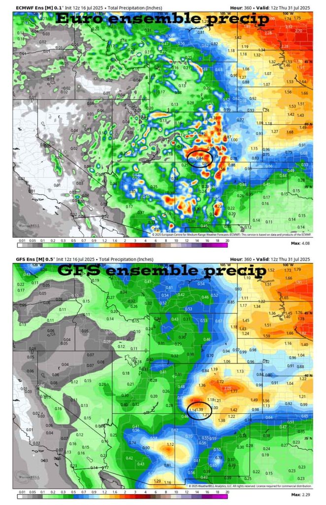 A little more active Thursday through Saturday… 7 On the top, Euro ensemble precip to 31 Jul at 6am shows 0.84” in the Pagosa area. On the bottom, GFS ensemble precip shows 1.39”.