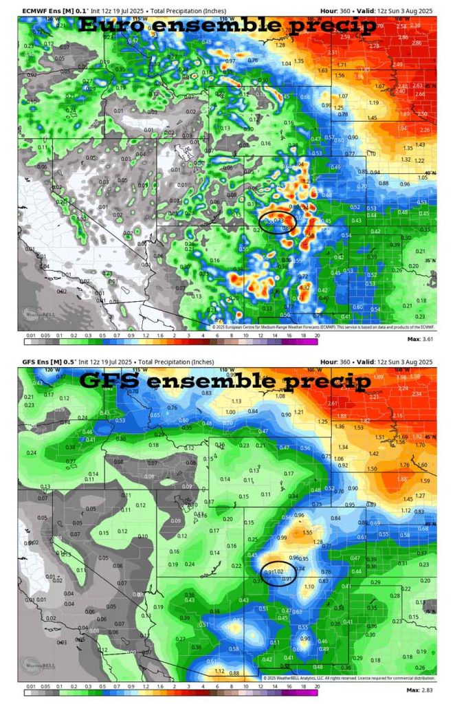 This pattern will persist… 7 On the top, Euro ensemble precip to 3 Aug at 6am shows 0.73” in the Pagosa area. On the bottom, GFS ensemble precip shows 1.02”.