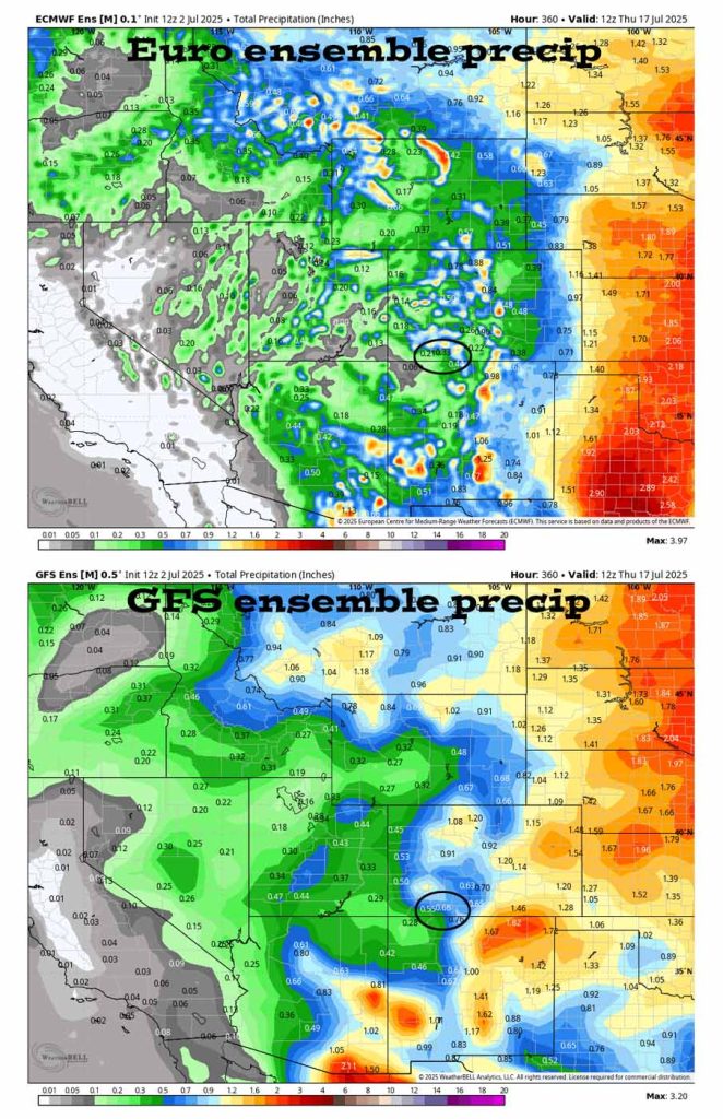 On the top, Euro ensemble precip to 17 Jul at 6am shows 0.33” in the Pagosa area. On the bottom, GFS ensemble precip shows 0.66”. This is all spotty convective precip so amounts will vary considerably. We’re playing the rain lottery!