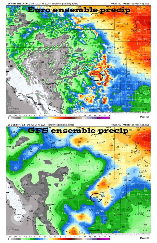 Fairly active, a lull, and then fairly active… 7 On the top, Euro ensemble precip to 5 Aug at 6am shows 1.11” in the Pagosa area. On the bottom, GFS ensemble precip shows 1.08”.