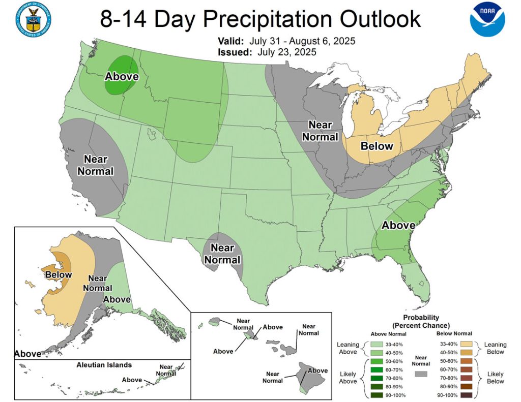 The CPC 8-14 day precip outlook shows a 33-40% chance for above average precip for us.