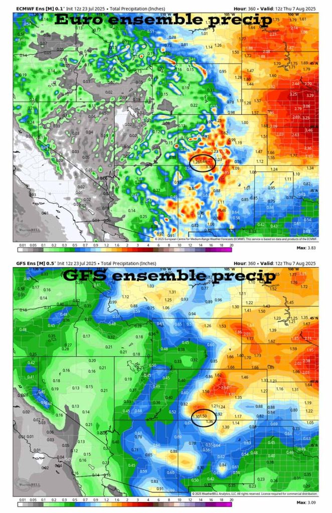 On the top, Euro ensemble precip to 7 Aug at 6am shows 1.44” in the Pagosa area. On the bottom, GFS ensemble precip shows 1.50”. The trend is for more precip – yay!