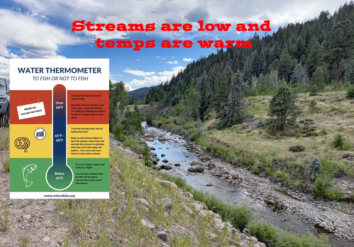 The Piedra River and most of Pagosa Country's streams are low and warm.