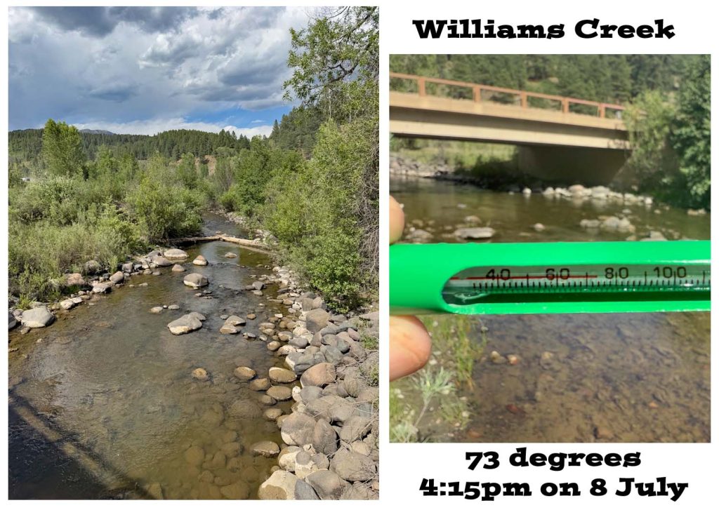 Streams are low and warm... 6 Williams Creek was 73 degrees at 4:15pm on 8 July