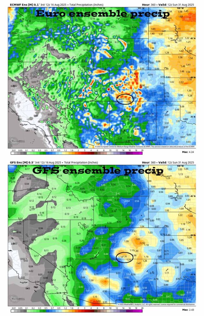 Mostly dry, sunny, and warm through Thursday… 6 On the top, Euro ensemble precip to 31 Aug at 6am shows 1.12” in the Pagosa area. On the bottom, GFS ensemble precip shows 1.31”. Most of this is expected 22-29 Aug. Precip amounts will vary considerably.