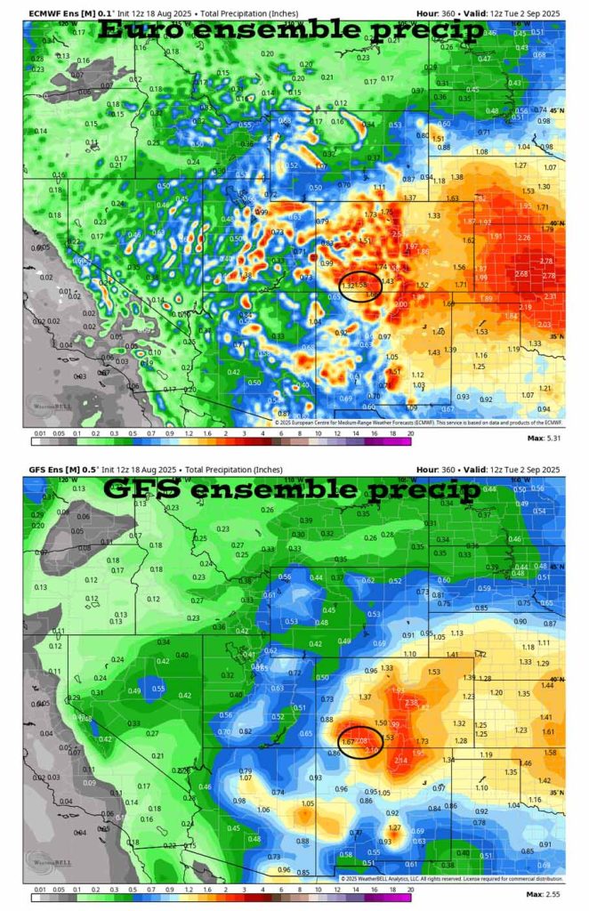 On the top, Euro ensemble precip to 2 Sep at 6am shows 1.58” in the Pagosa area. On the bottom, GFS ensemble precip shows 2.08”. Precip amounts are trending up. Precip totals will vary considerably.
