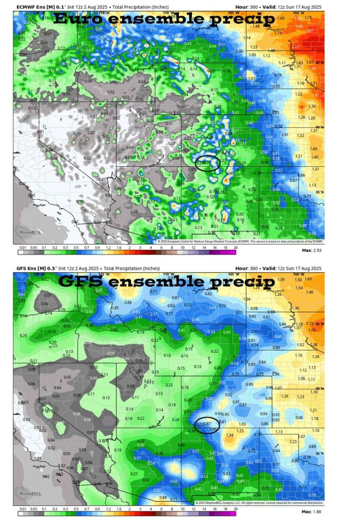 On the top, Euro ensemble precip to 17 Aug at 6am shows 0.27” in the Pagosa area. On the bottom, GFS ensemble precip shows 0.87”. Let’s hope the GFS is right! Precip amounts will vary considerably.