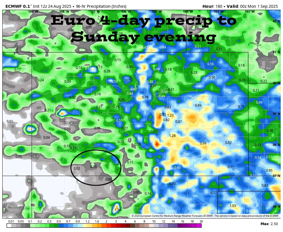 24 Aug 2025 pm Euro 4 day precip 1