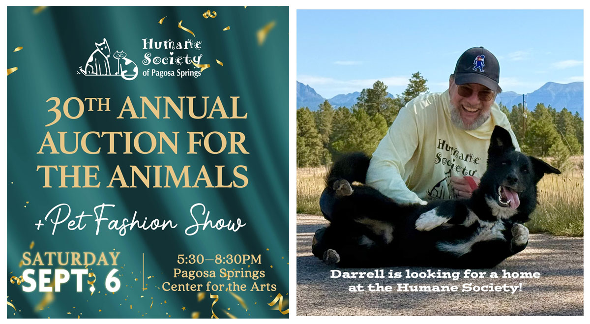 Hope to see you at the Humane Society Auction for the Animals and Pet Fashion Show on Saturday, 6 Sep!  Here’s the LINK for more info.