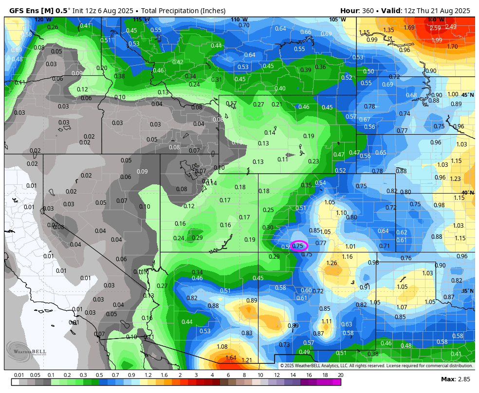 GFS 2 week Precip A
