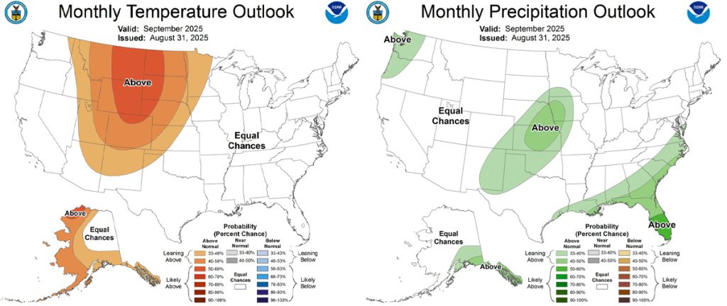 The CPC temp outlook for Sep on the left shows a 40-50% chance for above average temps.
The precip outlook on the right shows "equal chances" for average precip.