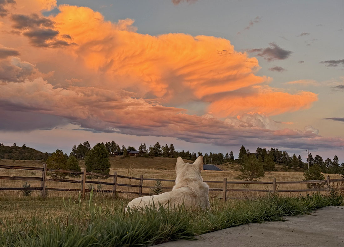 Tommy admiring another glorious Pagosa Country sunset – Pic taken 9/9/2025