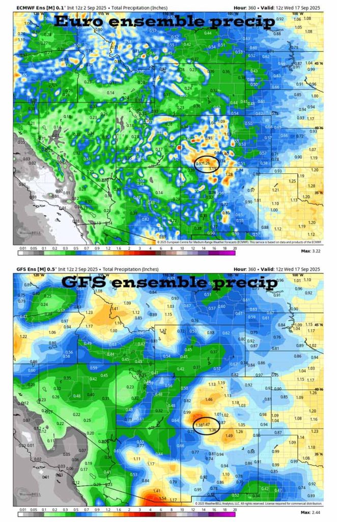 Could get a good soaking Friday and Saturday … 7 On the top, Euro ensemble precip to 19 Sep at 6am shows 1.26” in the Pagosa area. On the bottom, GFS ensemble precip shows 1.47”. I think the models continue to overforecast precip. It’s all convective precip so amounts will vary considerably.