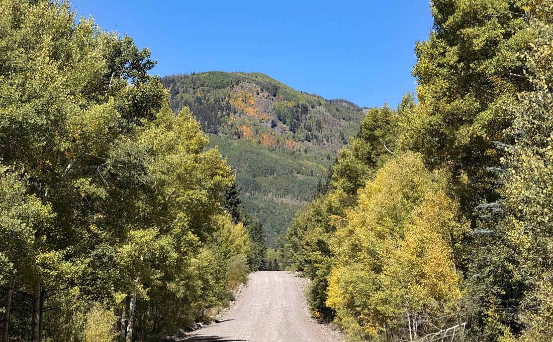 A few spots of fall color in the Conejos Valley – pic taken 9/17/2025